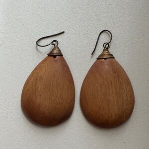 Elegant Brown Teardrop Earrings